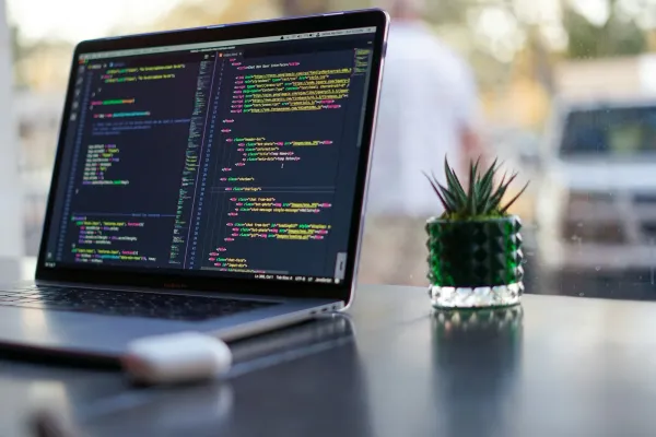 Laptop showing code on a bright desk beside a small plant